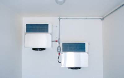Validation & Compliance Guide: Pharmaceutical Cold Rooms, Chambers &  Stability Rooms