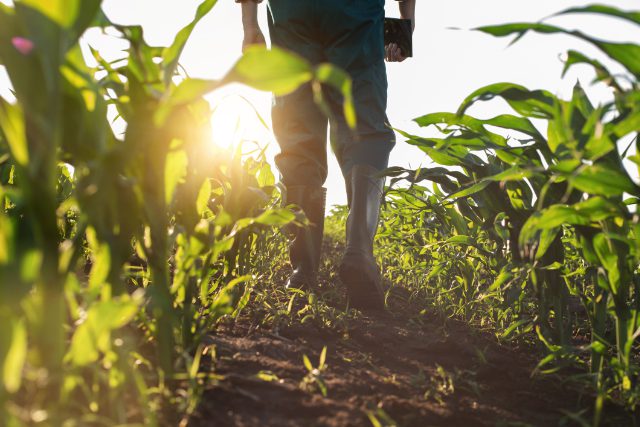 Agricultural 