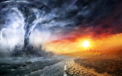 Polar King Companies to Showcase Robust Refrigeration Solutions at Natural Disaster Expo