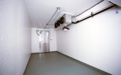 When Reliability Matters: Redundant Refrigeration from Polar Leasing