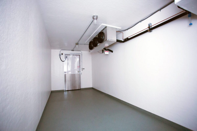 When Reliability Matters: Redundant Refrigeration from Polar Leasing